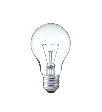 Bulb